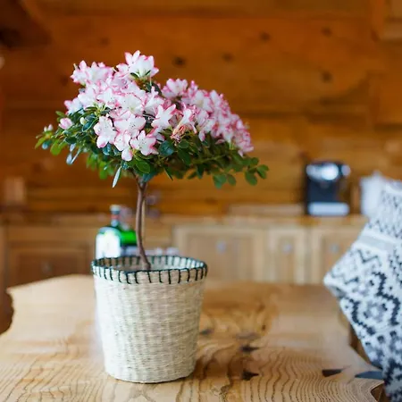 Tatrahytte Domek W Gorach Hébergement de vacances Kościelisko