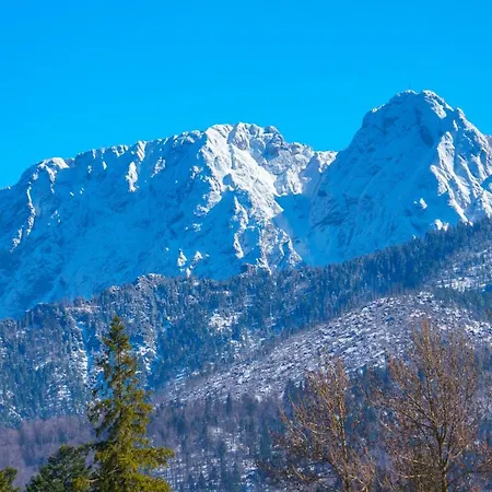Hébergement de vacances Tatrahytte Domek W Gorach