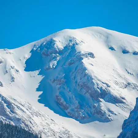 Tatrahytte Domek W Gorach * Kościelisko